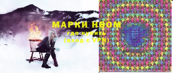 хмурый Абаза