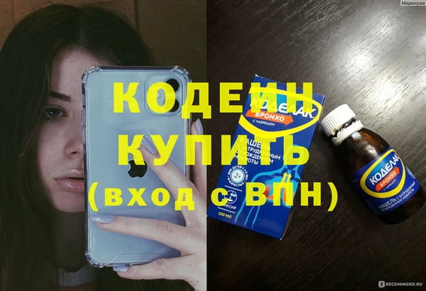 хмурый Абаза