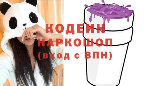 хмурый Абаза